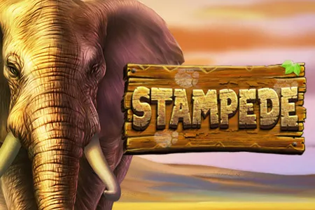 Stampede